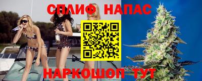 эйфоретик Гай