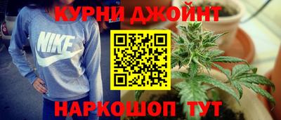 эйфоретик Гай