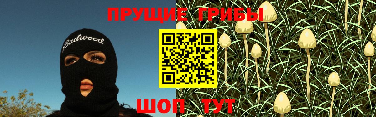 Псилоцибиновые грибы GOLDEN TEACHER Михайловка