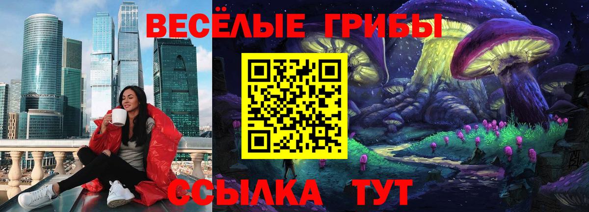 Галлюциногенные грибы GOLDEN TEACHER  Вход с VPN  Михайловка  Галлюциногенные грибы Psilocybine cubensis 